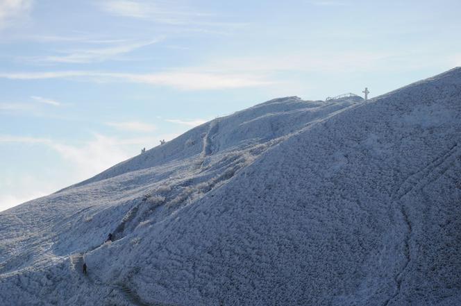 Bieszczady: Czy czeka nas weekendowy najazd turystów? Jest apel BPN