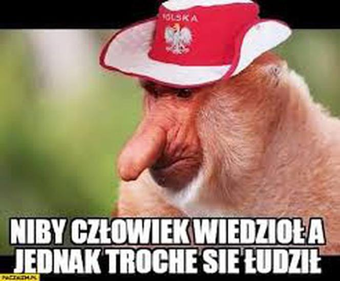 Memy po meczu Słowenia - Polska