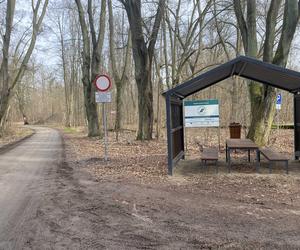 Zmiany w Parku Odrzańskim w Zielonej Górze. Zobacz jak wygląda obecnie