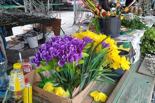 Palmy na Niedzielę Palmową w Poznaniu