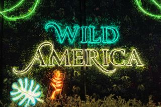 Garden of Lights we Wrocławiu