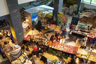 Giełda Minerałów w Sosnowcu