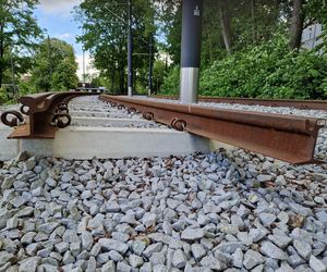 Torowisko tramwajowe na Babiej Wsi w Bydgoszczy zarośnięte chwastami. Tramwaje zniknęły stąd lata temu