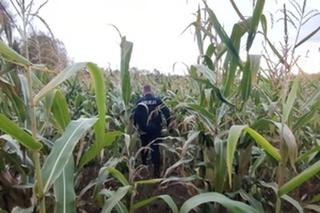 23-latek pobił, uprowadził i przewoził w bagażniku 19-latka