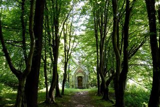 Ruiny zamku w Dąbrówce Starzeńskiej