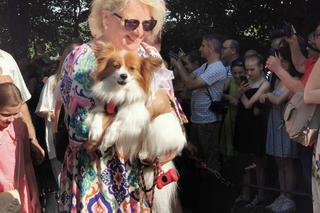 Święcili zwierzęta w Mikstacie!