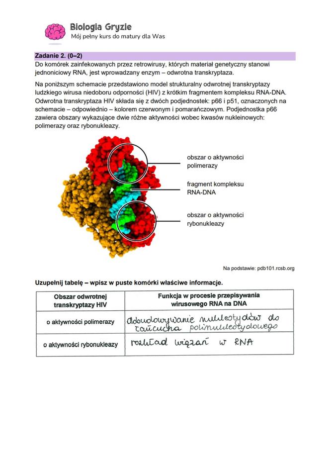 Matura 2024: biologia. Arkusze CKE i odpowiedzi. Poziom rozszerzony [Formuła 2023]