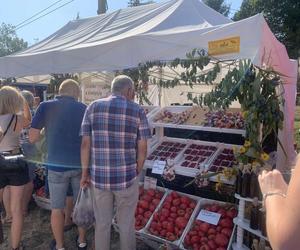 Wydarzenie odbywa się w dniach 7 i 8 września