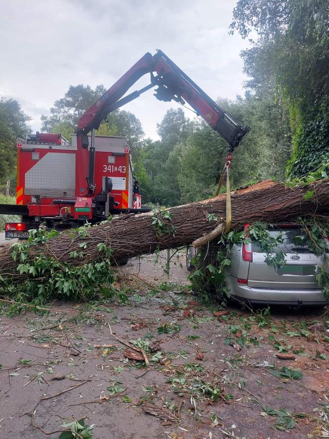 Drzewo runęło na samochód. Przerażający wypadek w Toruniu