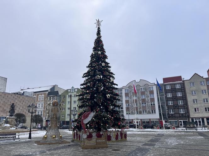 W centrum Gorzowa stanęła choinka! Jak wygląda?