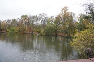 Park Sołacki w Poznaniu jesienią