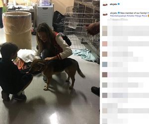 Alicja Bachleda-Curuś i Colin Farrell świętują urodziny syna