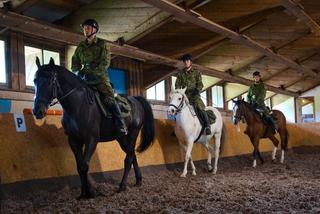 Konie w Straży Granicznej