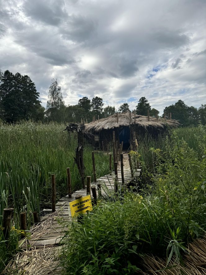 A oto kilka zdjęć scenografii i kostiumów.