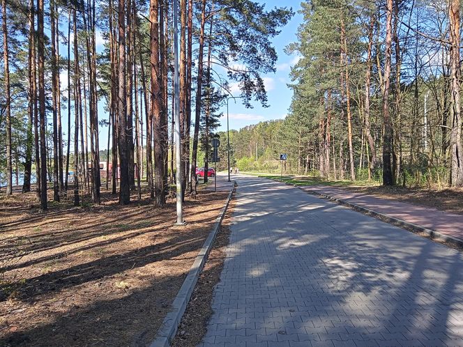 Rejów
