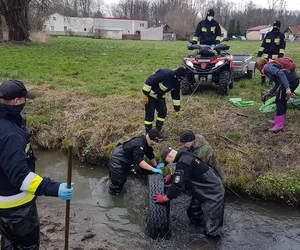 Po raz trzeci posprzątają Wyżnicę