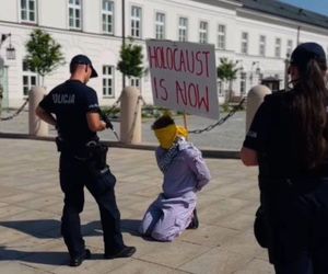 Performance Igora Dobrowolski