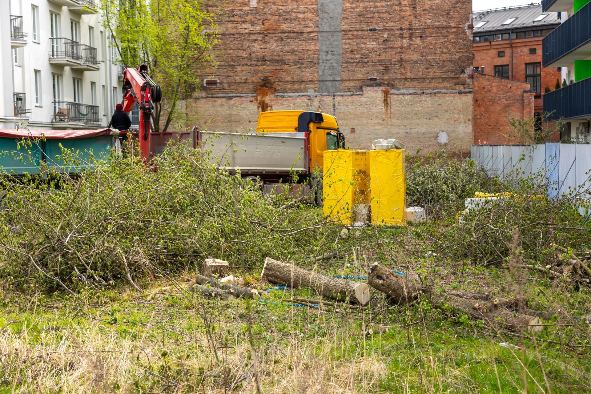 Nielegalna wycinka drzew przy ul. Radzymińskiej 14 w Warszawie