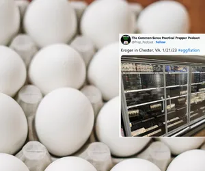 Ceny jajek szaleją! Zbliża się WIELKI kryzys ,,jajeczny. Jaki jest powód? 