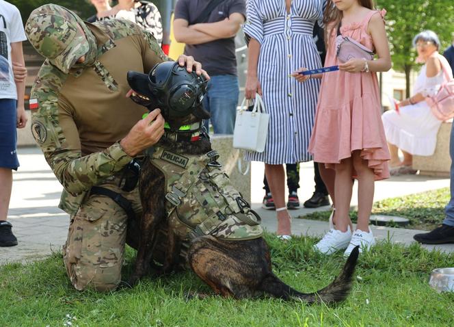 Piknik patriotyczny i koncert „Polskie Tańce Narodowe i Regionalne” na pl. Litewskim w Lublinie