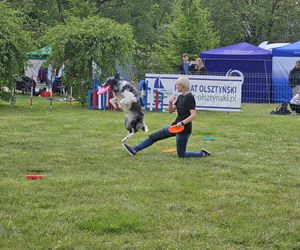 Festiwal Przyjaciół Zwierząt w Olsztynie. Park Centralny opanowały radosne pieski