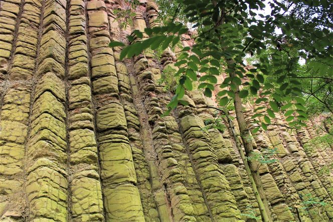 Bazaltowe słupy na Dolnym Śląsku