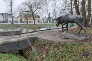 Miasto Siedlce z kilkumilionową dotacją unijną na remont parku „Aleksandria”?