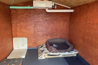 Chatka psiego dziadka w nowosądekcim schronisku dla zwierząt