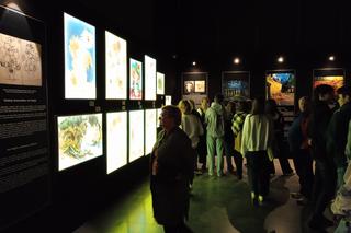 Niesamowita Wystawa Van Gogh w Gdańsku. Przepiękne wydarzenie multimedialne. Zobaczcie zdjęcia i film