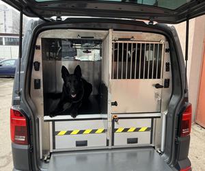Małopolska policja ma nowe radiowozy. Są dostosowane do transportu psów służbowych [GALERIA]