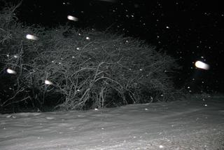  Lubuskie sparaliżowane! Niespodziewany atak zimy opis: Lubuskie sparaliżowane! Niespodziewany atak zimy.