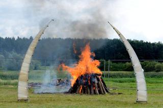 W poznańskim zoo spalono kość słoniową [WIDEO]