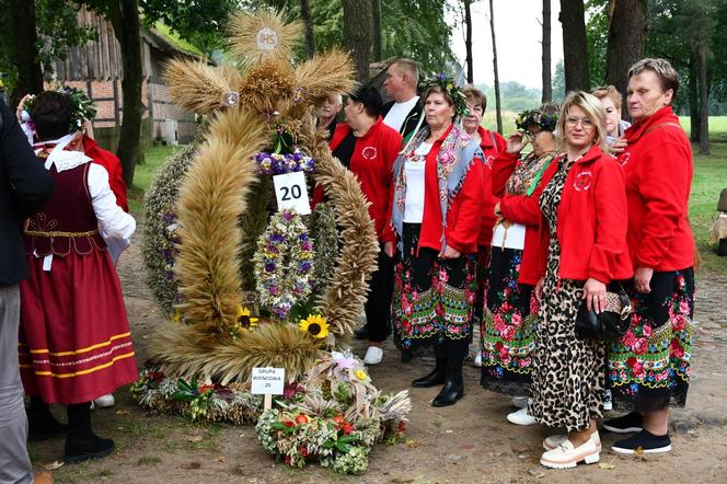 Dożynki wojewódzkie w Olsztynku 2024. Tłumy na wydarzeniu. „To był trudny rok” [ZDJĘCIA]