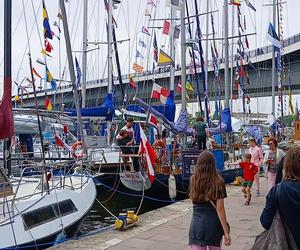 The Tall Ships Races 2024 w Szczecinie