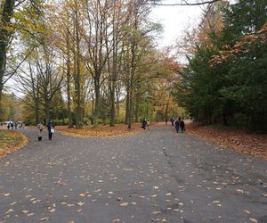 Cmentarz Centralny podczas Wszystkich Świętych