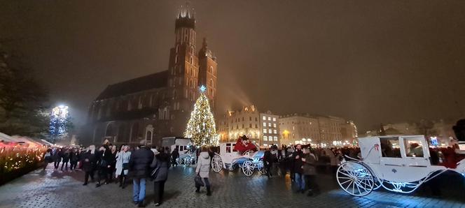 Choinka na Rynku Głównym w Krakowie
