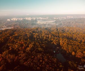 Park Śląski jesienią