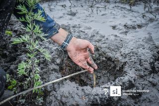 Odwierty na Łasztowni