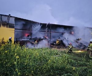 Pożar w Andrzejkach. Strażacy walczyli o uratowanie zwierząt i domu