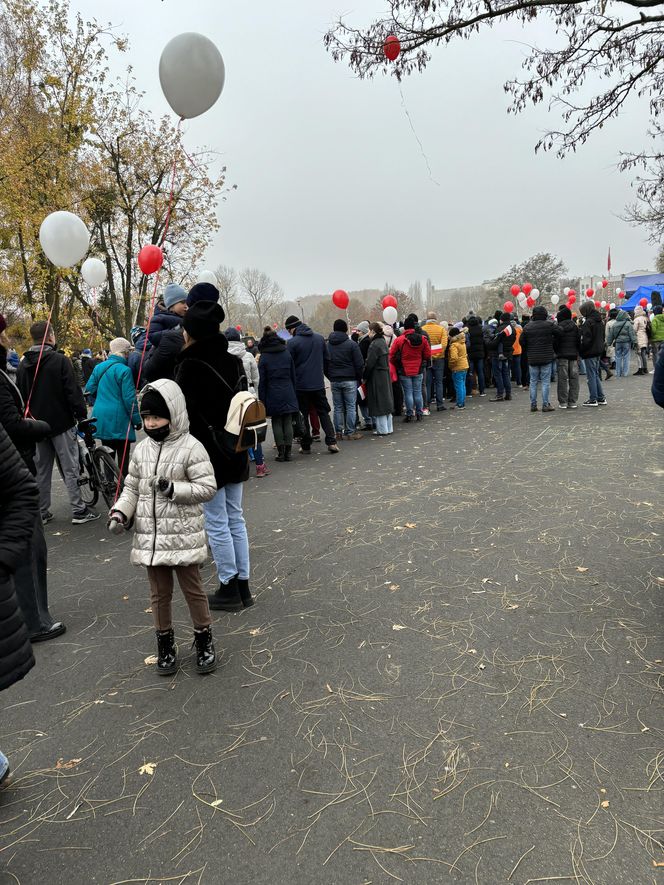 Wojewódzkie obchody Narodowego Święta Niepodległości w Poznaniu