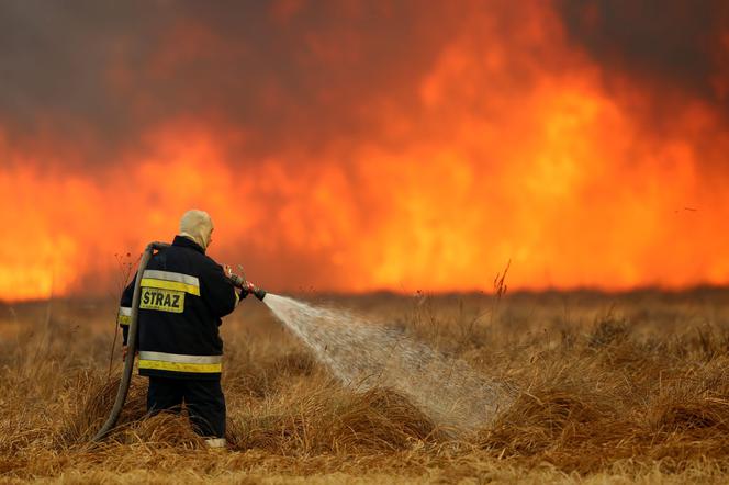 Pożar w Biebrzańskim Parku Narodowym