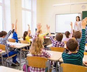 Orzeczenie imienne. Czym jest orzeczenie imienne? Przykłady zdań z orzeczeniem imiennym