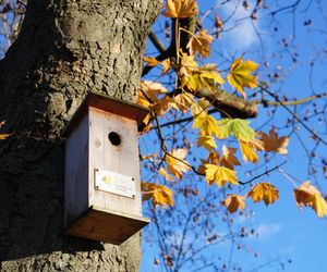 Park Ludowy w listopadowej odsłonie!