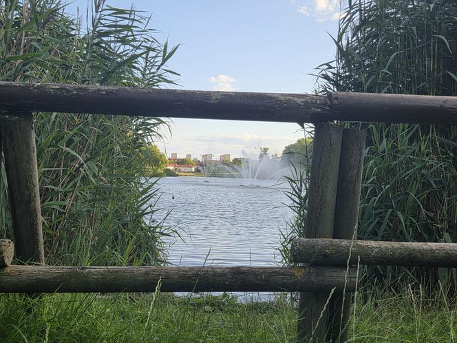 Zielona perła Bartodziejów. Odkryj uroki bydgoskiego Balatonu