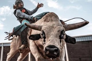 Spór o amerykańskie rodeo w Gliwicach. Impreza została odwołana na ostatnią chwilę. Co się stało?