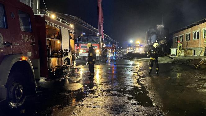 Pożar chlewni pod Piotrkowem Trybunalskim. Ponad 2 tysiące zwierząt zginęło