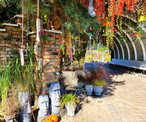 Ogrody Kapias w październikowej szacie wyglądają pięknie