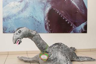 Zwycięzcy styczniowej odsłony Konkursu Edukacyjnego. Oceanarium 3D Pierwsze klasy nagrodzone