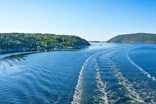 Norwegia: algi w fiordzie Oslo. Znika flora i fauna jednego z najpiękniejszych miejsc świata