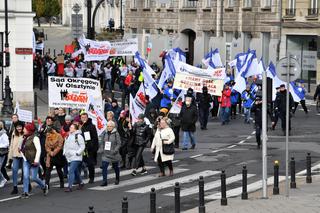 Protest pracowników budżetówki w Warszawie. Bryła lodu naprzeciwko KPRM